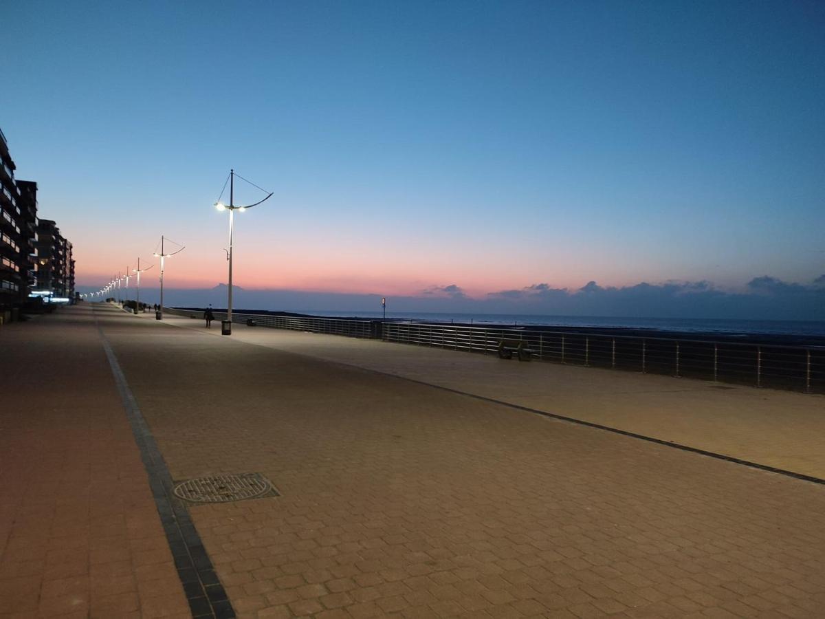 Zilverzand Aan Zee - Frontaal Zeezicht Koksijde Exterior photo